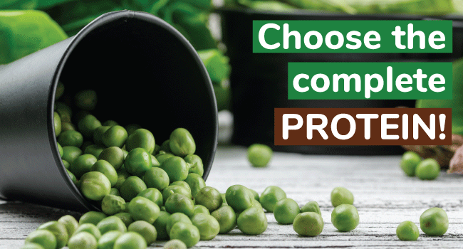 Choose the complete proteins